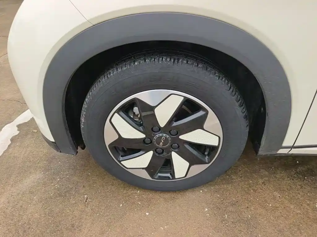 BYD Dolphin — миниатюра 23