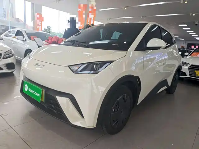 2024 BYD Seagull