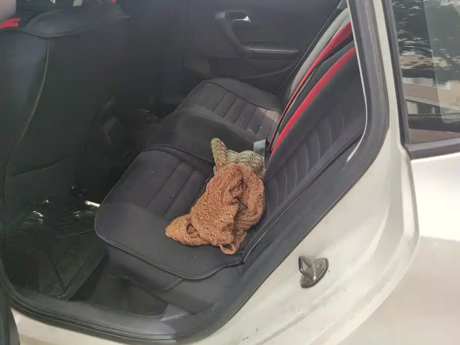Volkswagen Polo — миниатюра 11