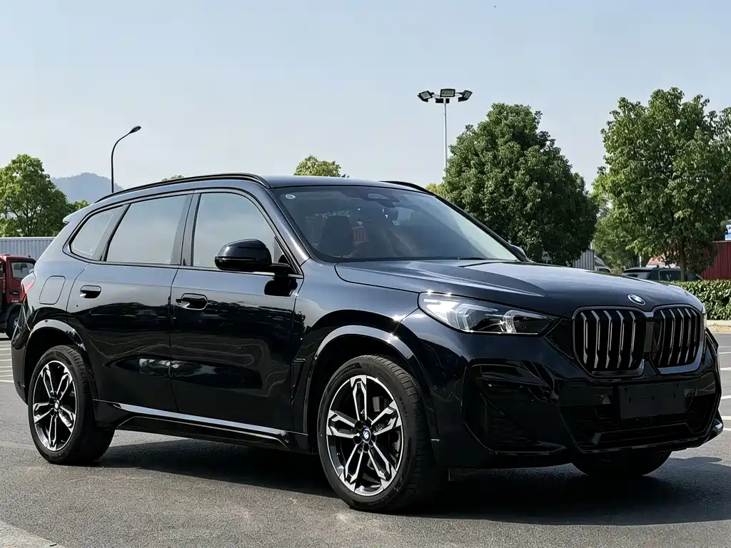 BMW X1 — миниатюра 3