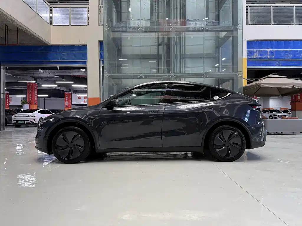Tesla Model Y — миниатюра 4