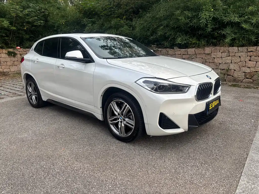 BMW X2 — миниатюра 3