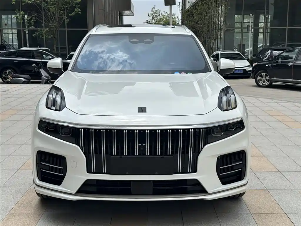 Lynk & Co 09 EM-P 2021 2.0T PHEV Ultra мест