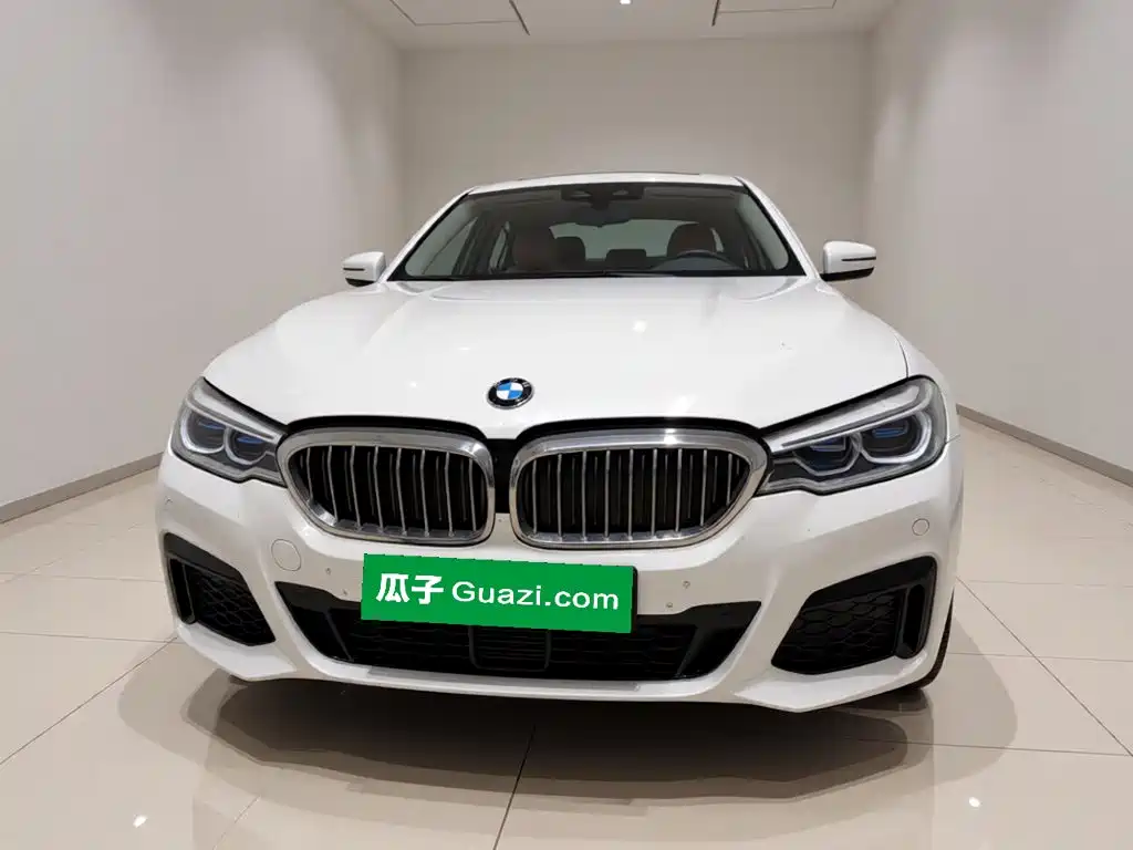 BMW 5 Series New Energy — миниатюра 2