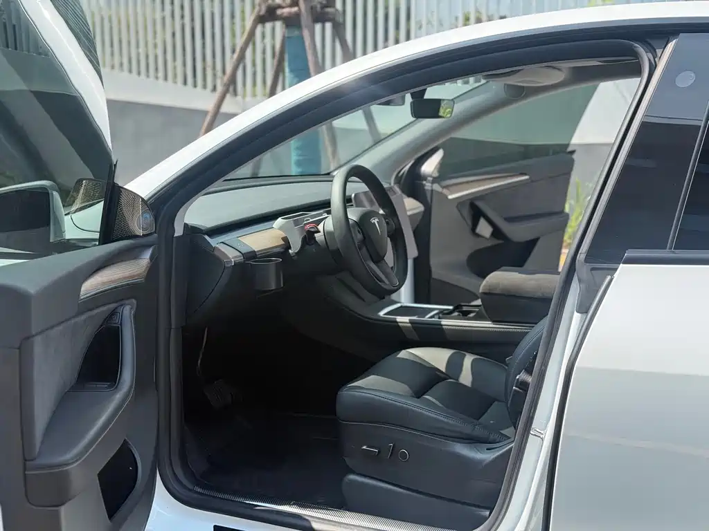 Tesla Model Y — миниатюра 4