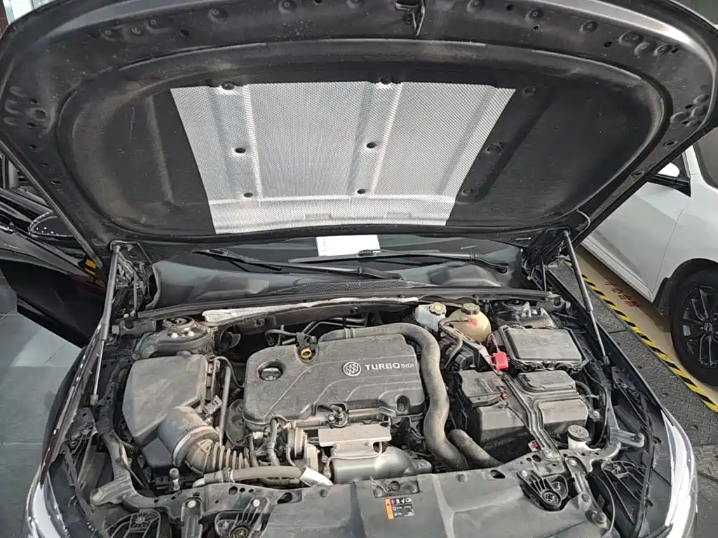 Buick Regal — миниатюра 20