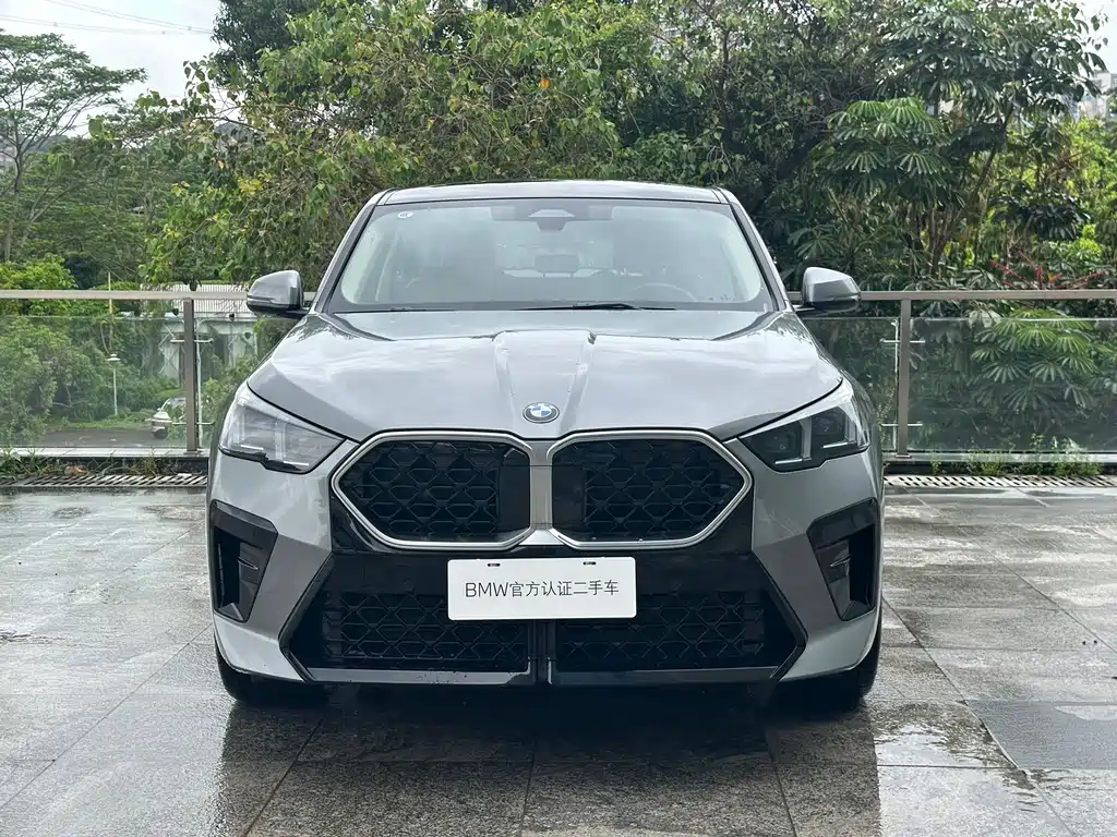BMW X2 (Import) — миниатюра 2