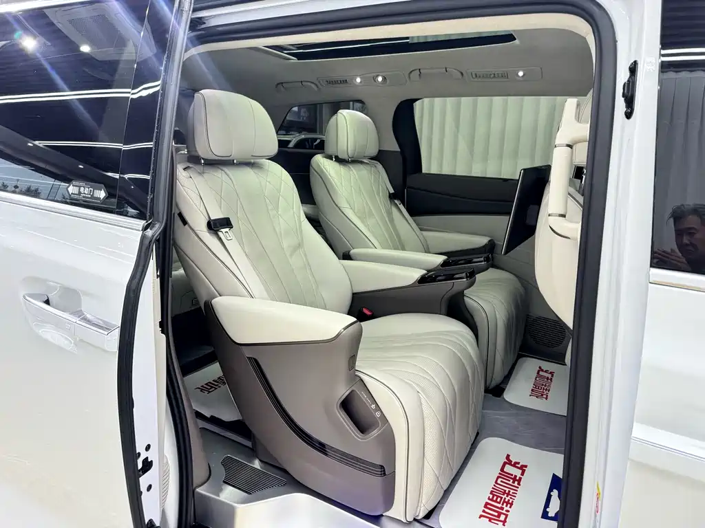Denza Denza D9 — миниатюра 21