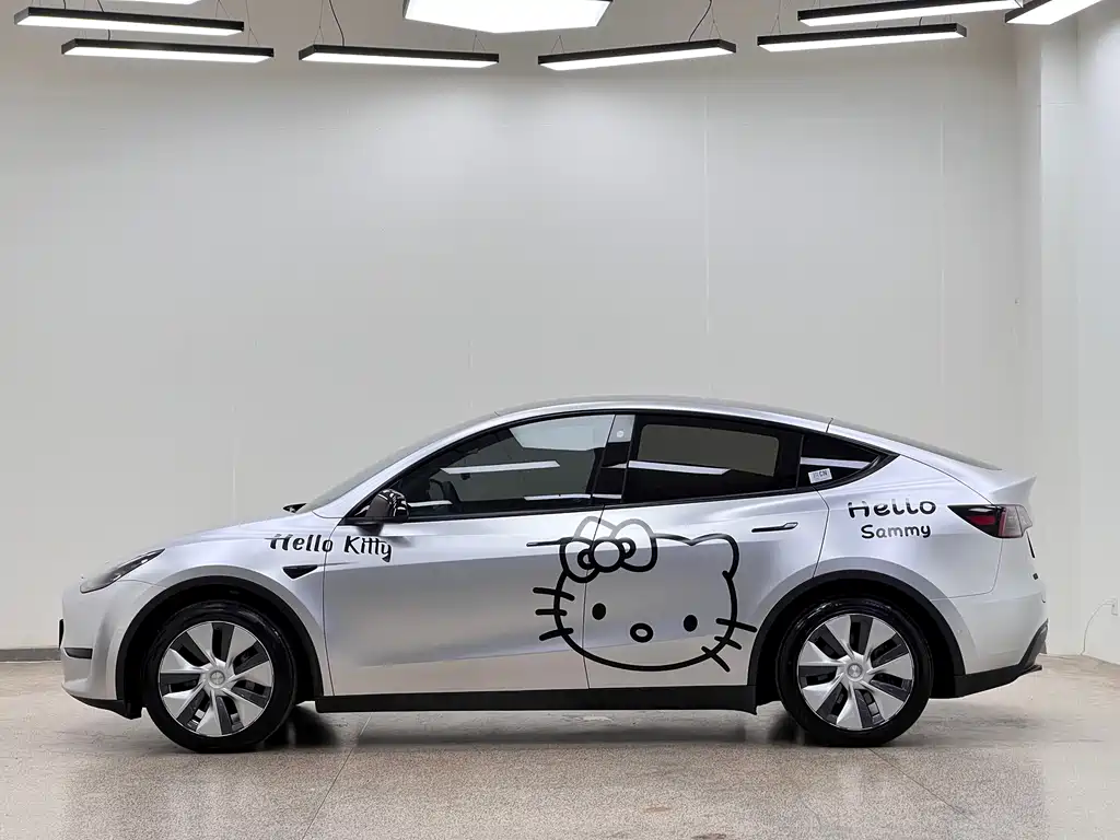 Tesla Model Y — миниатюра 7