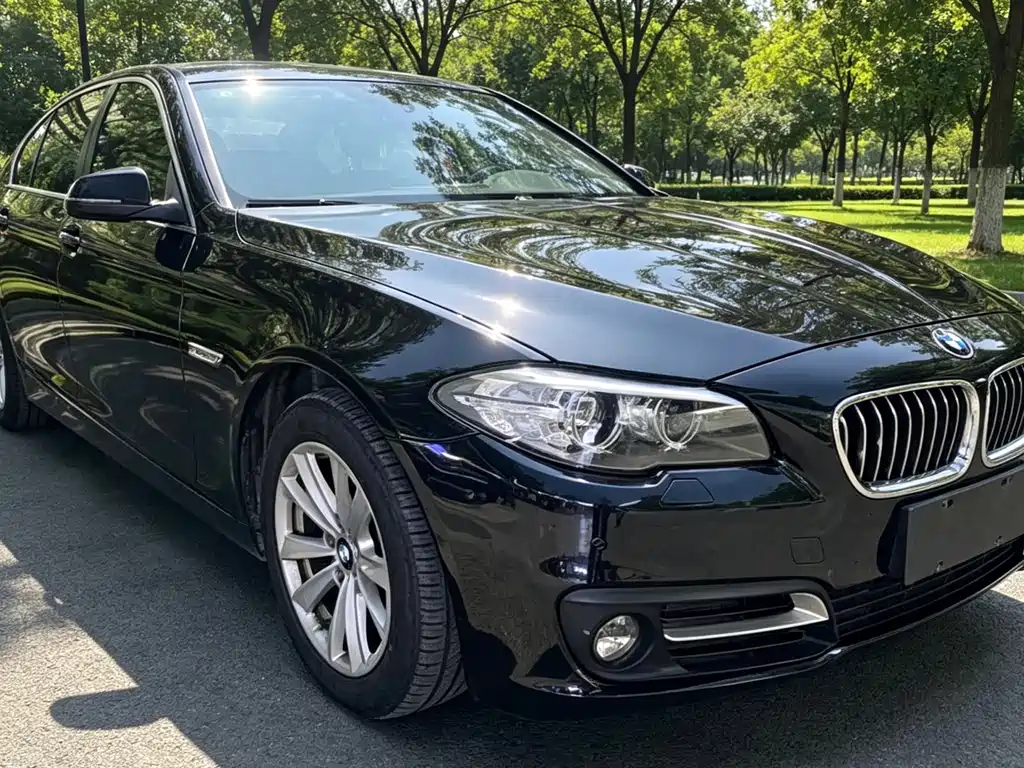 BMW 5 Series — миниатюра 3