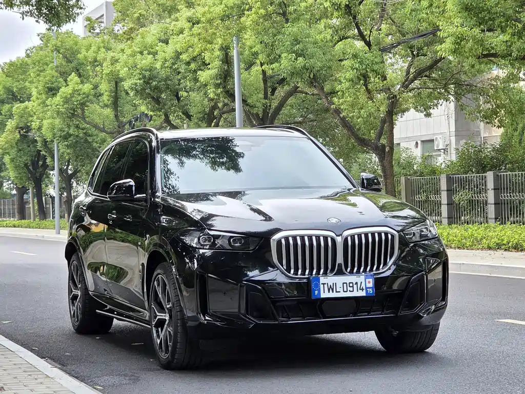 BMW X5 — миниатюра 3