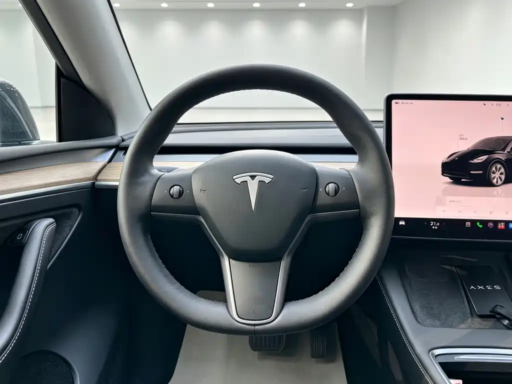 Tesla Model Y — миниатюра 13