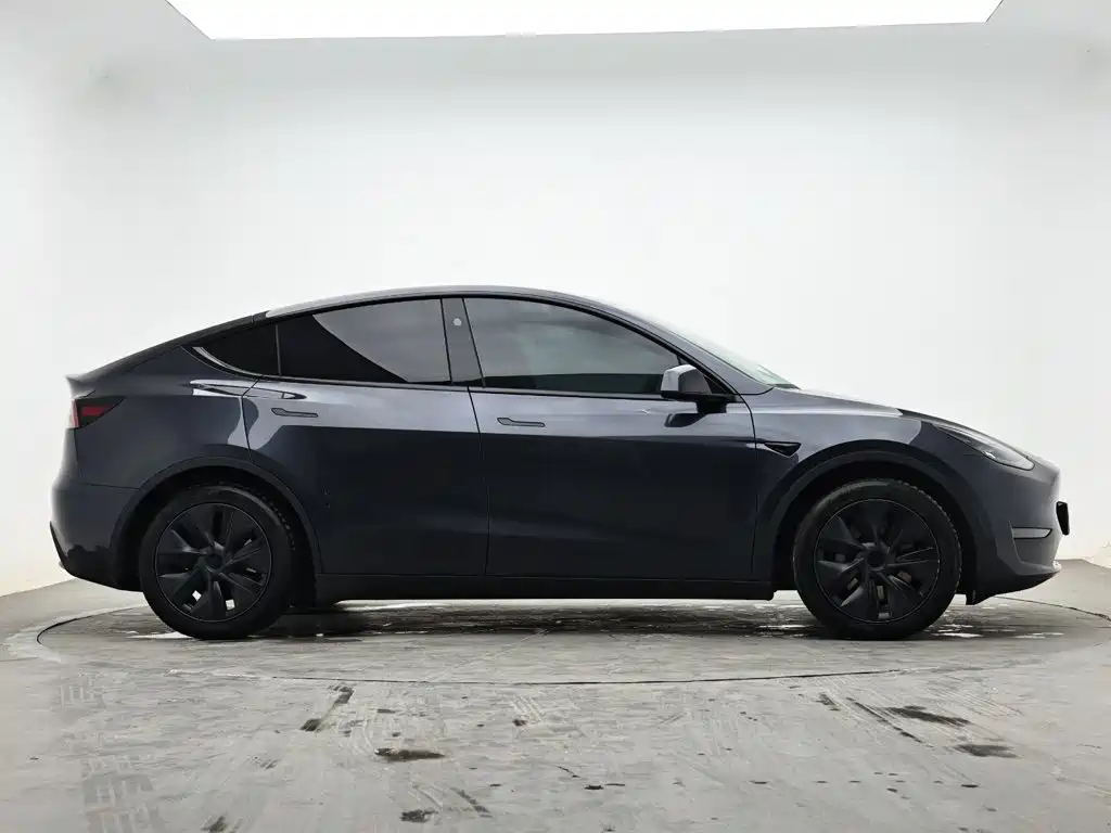 Tesla Model Y — миниатюра 5