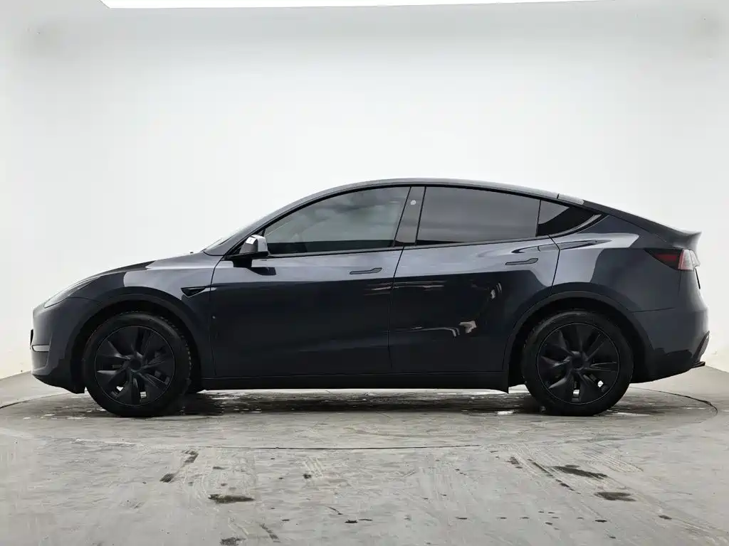 Tesla Model Y — миниатюра 6
