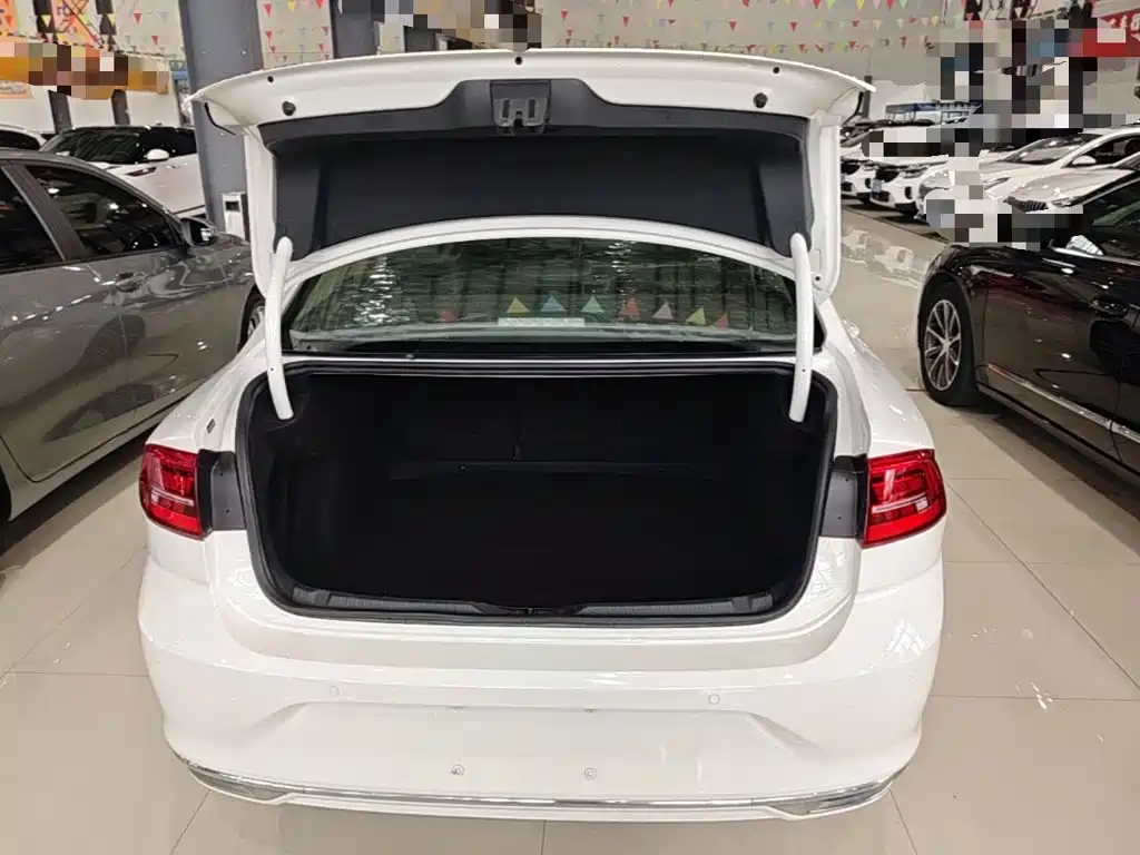 Volkswagen Lamando — миниатюра 19