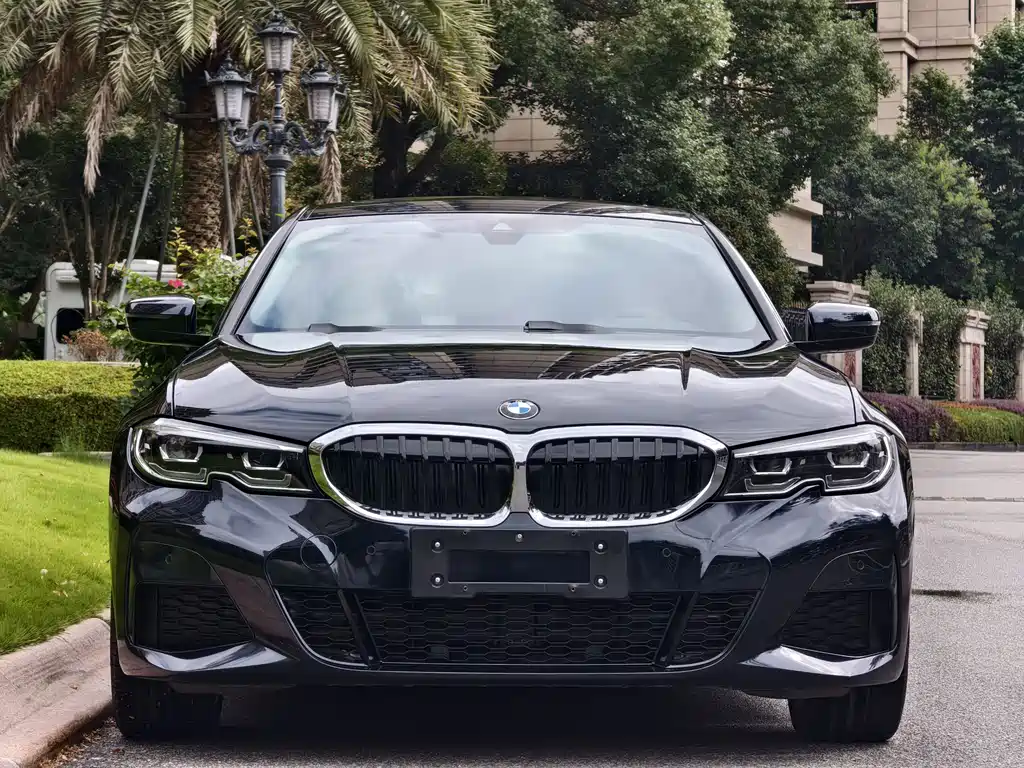BMW 3 Series — миниатюра 2