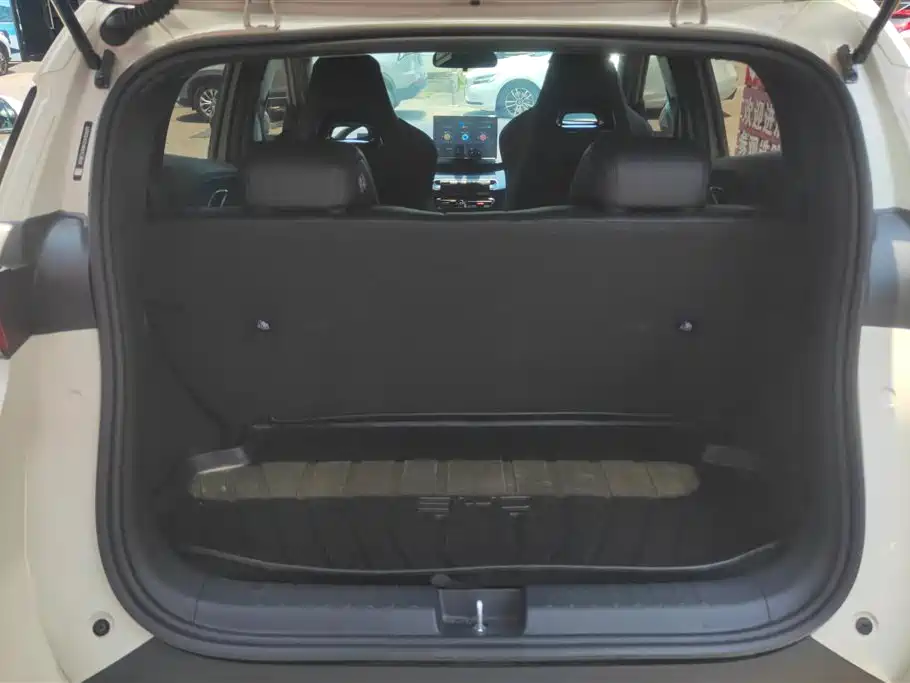 BYD Seagull 2024 305km