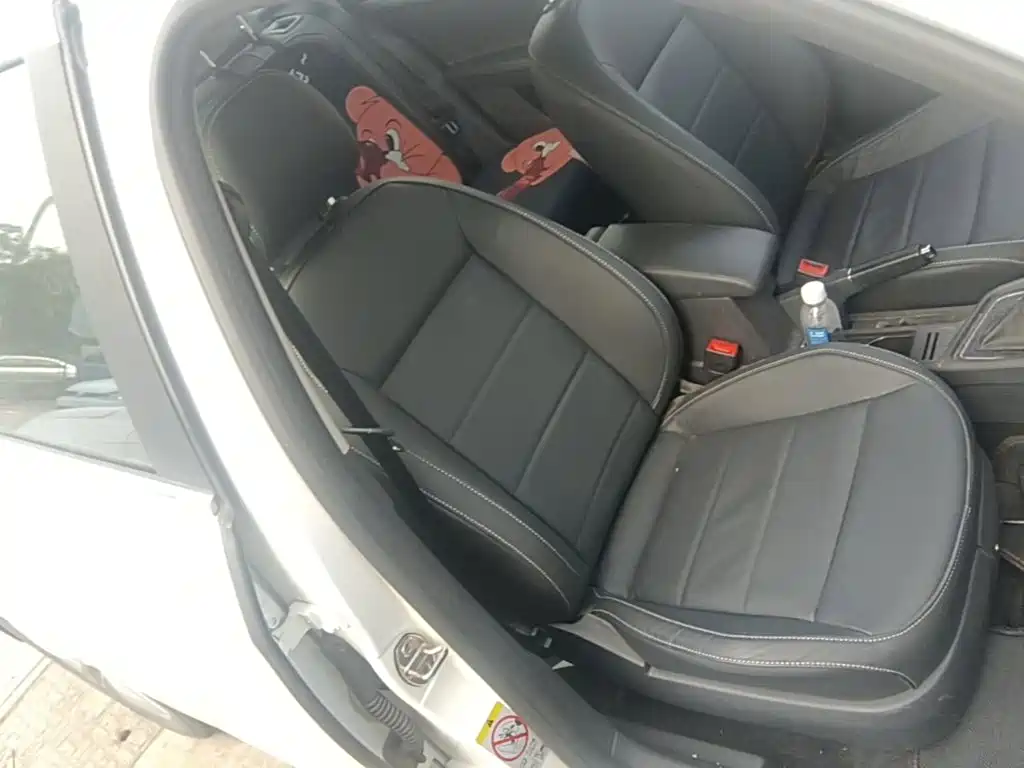 Volkswagen Gran Lavida — миниатюра 25