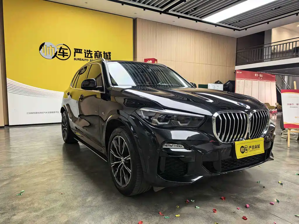 BMW X5 (Import) — миниатюра 3