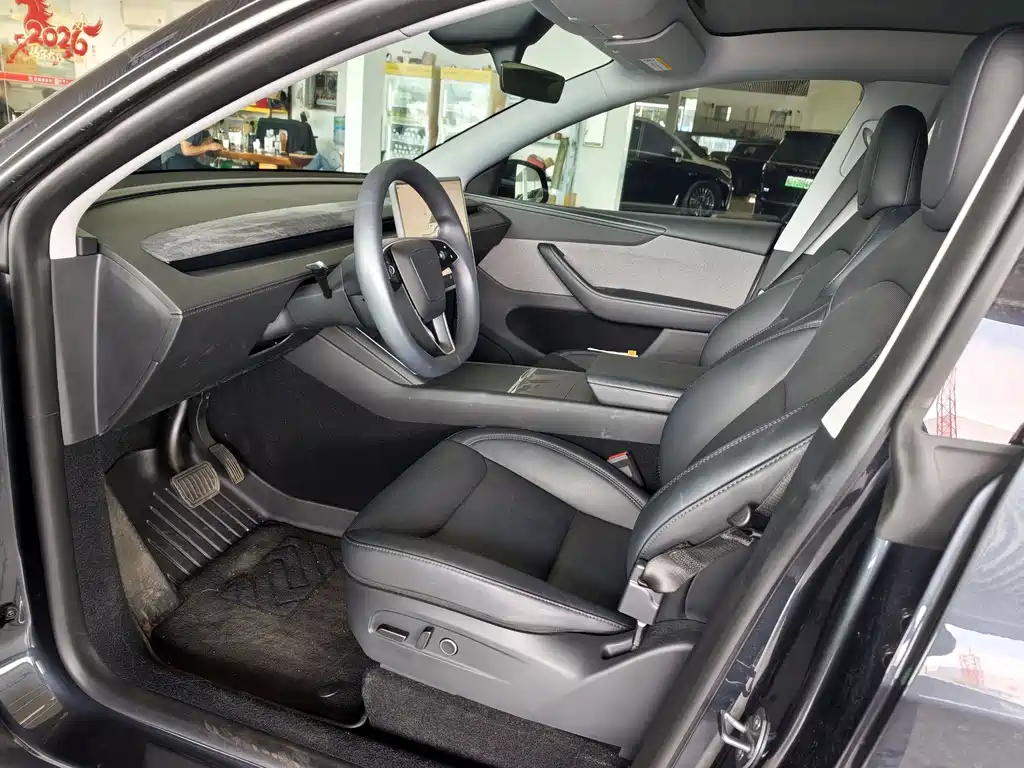 Tesla Model Y — миниатюра 12