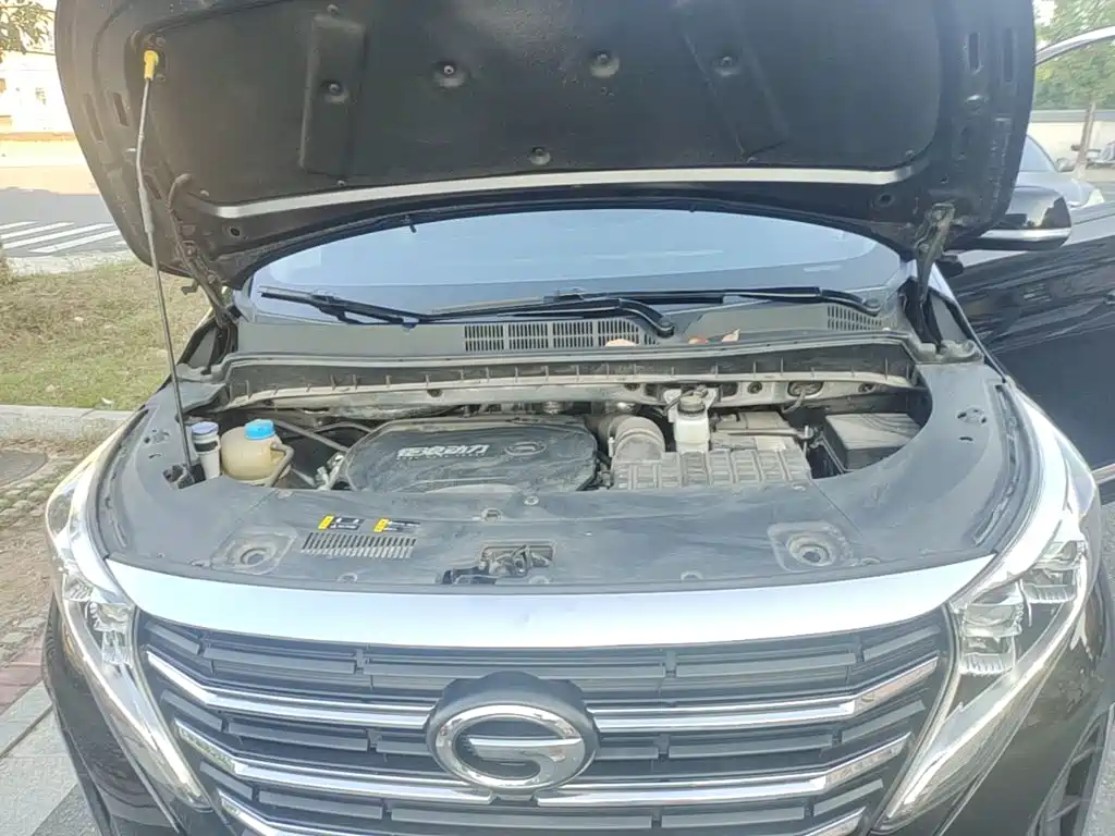 GAC Motor Trumpchi M8 — миниатюра 20