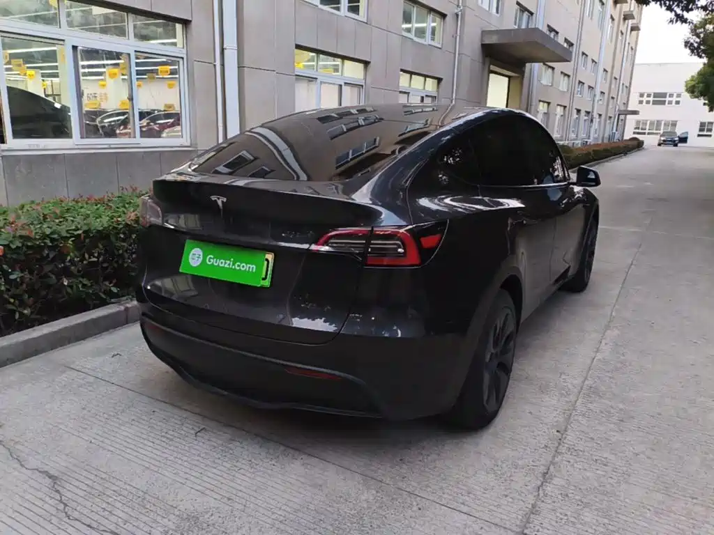 Tesla Model Y — миниатюра 7