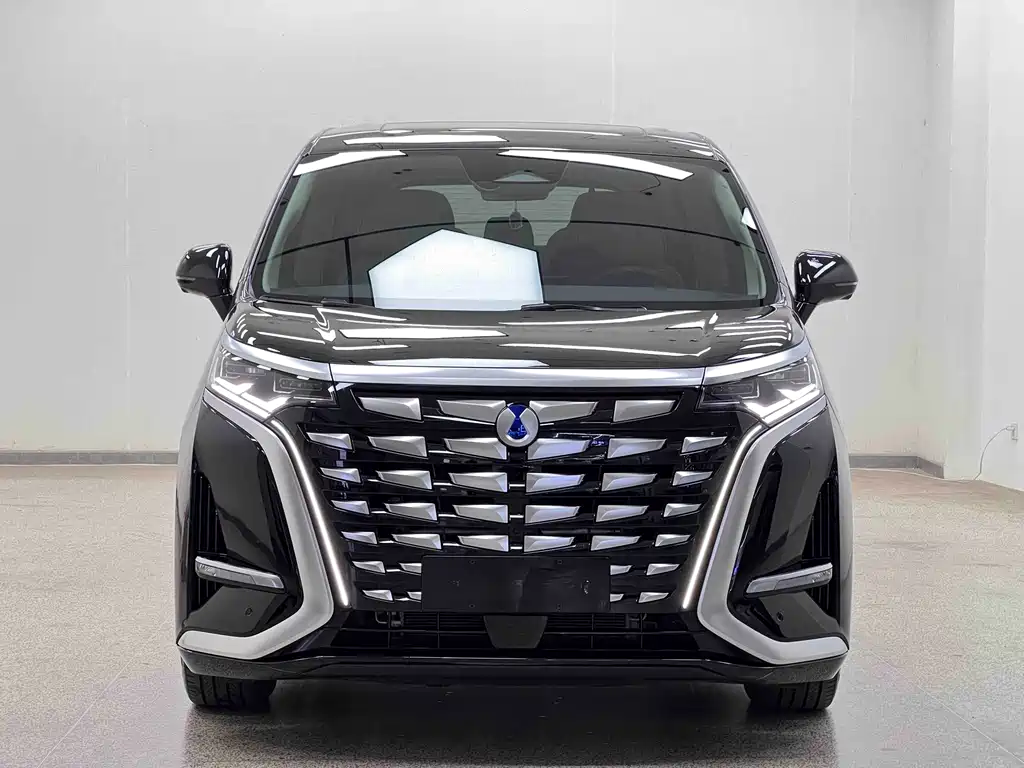 Denza Denza D9 — миниатюра 2