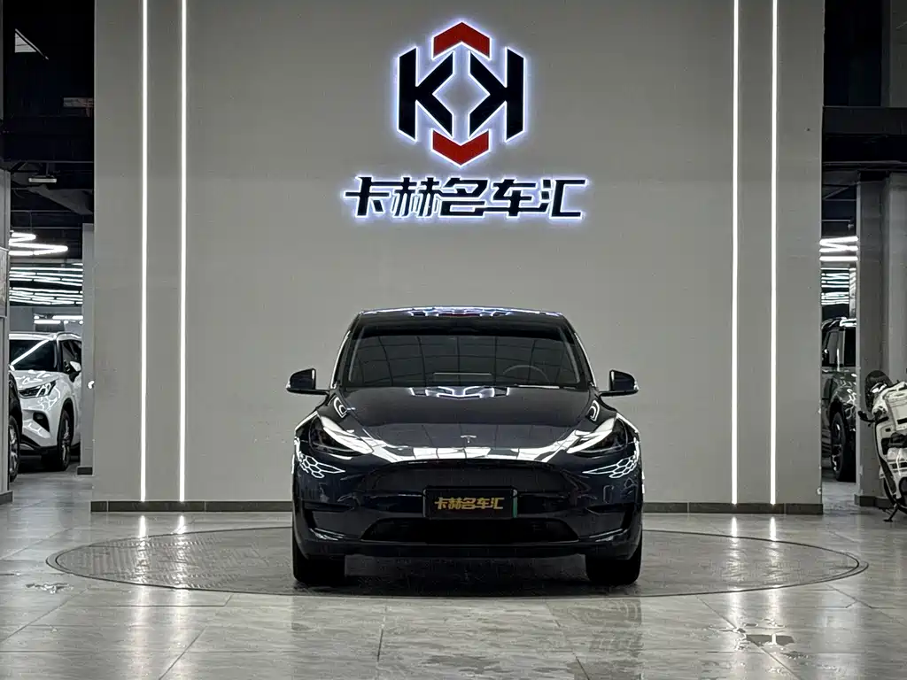 Tesla Model Y — миниатюра 2
