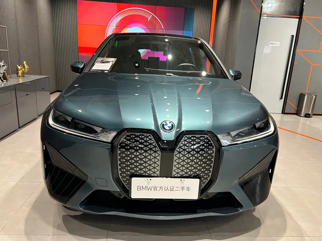 BMW iX — миниатюра 2