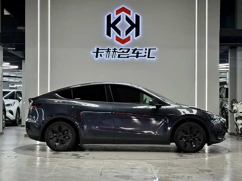 Tesla Model Y — миниатюра 5