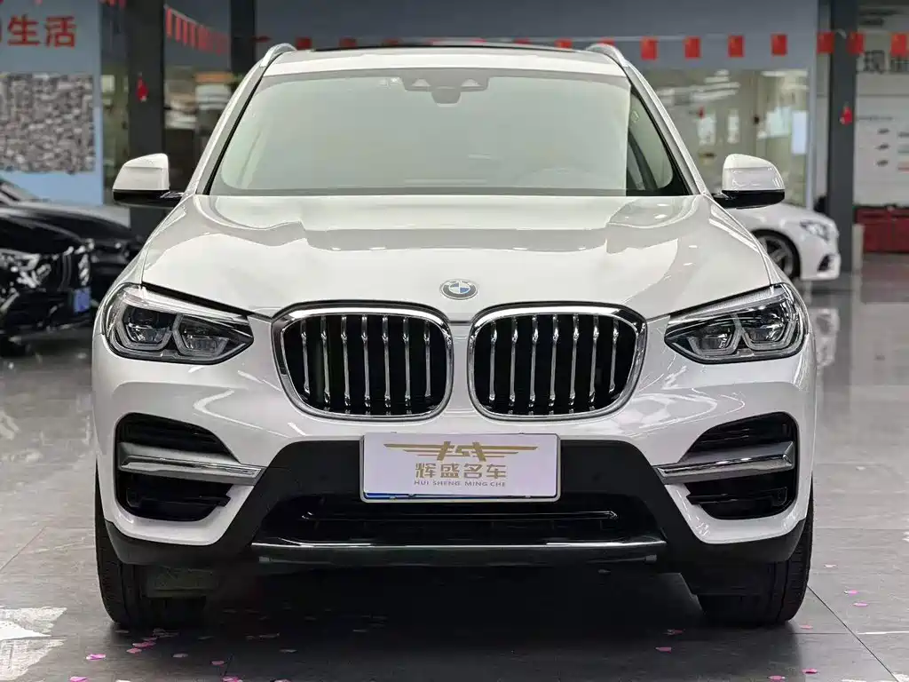 BMW X3 — миниатюра 2