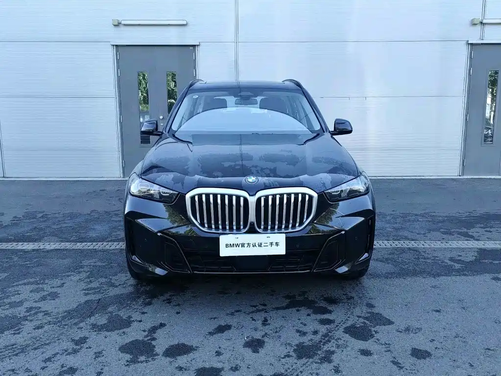 BMW X5 — миниатюра 2