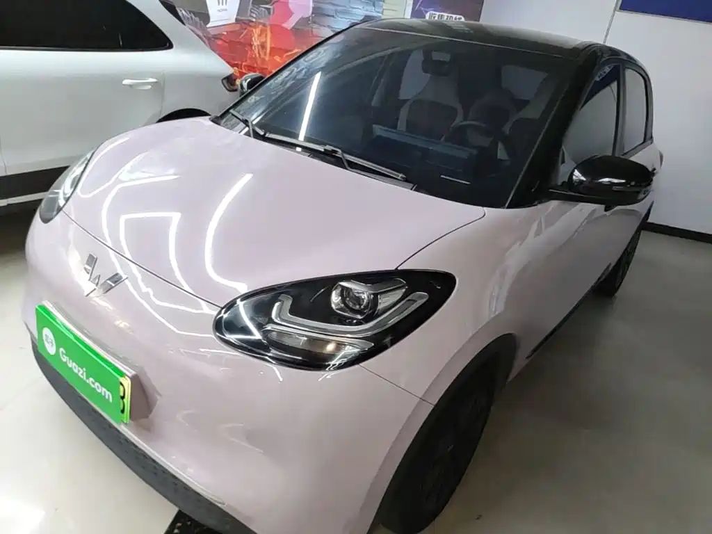 Wuling Binguo 2023 203km Light Enjoy