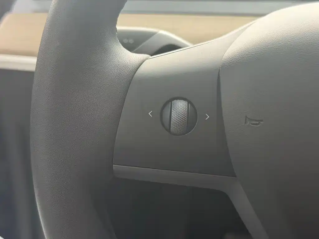 Tesla Model Y — миниатюра 11