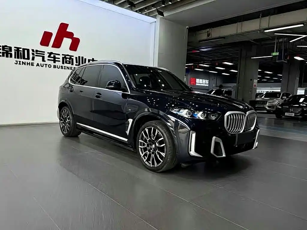 BMW X5 — миниатюра 2