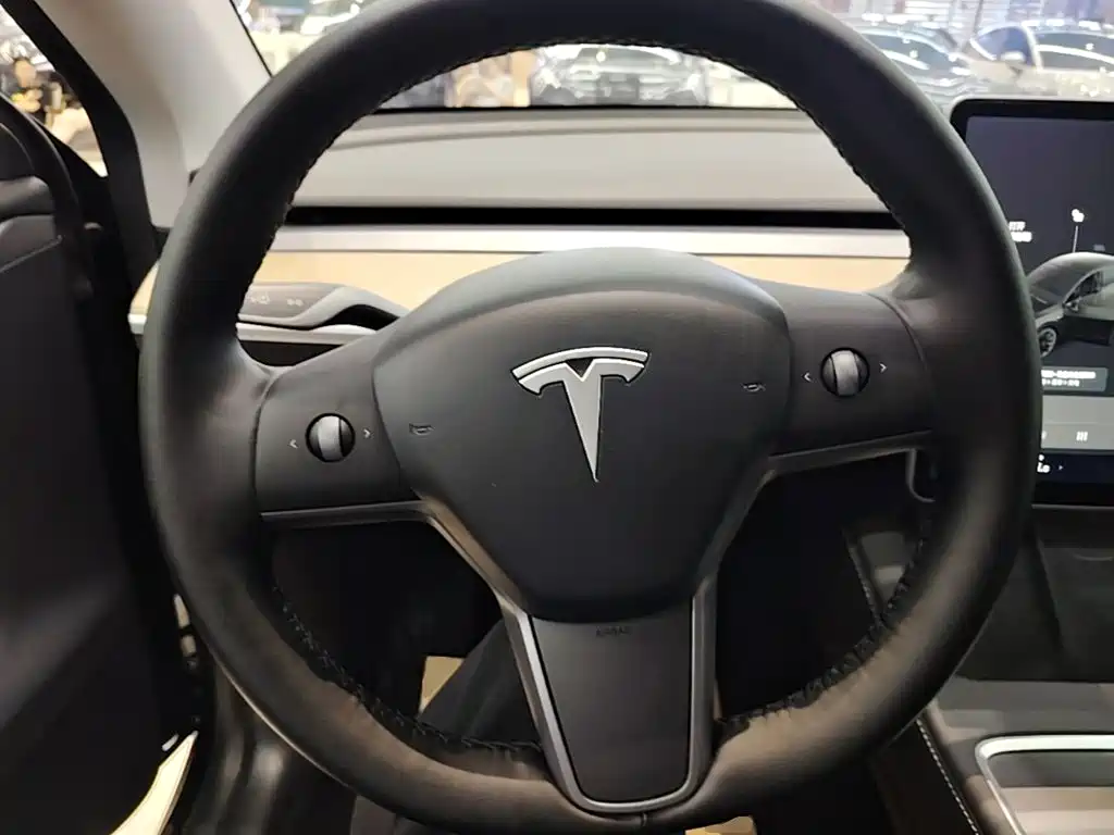 Tesla Model Y — миниатюра 11