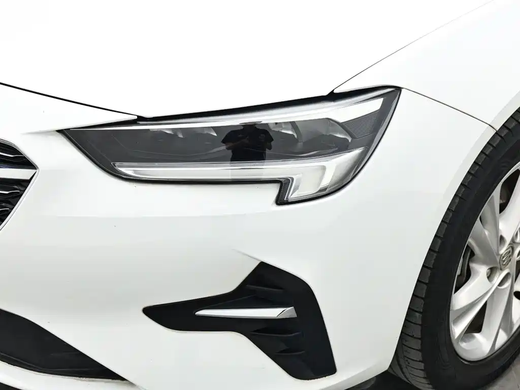 Buick Regal — миниатюра 17
