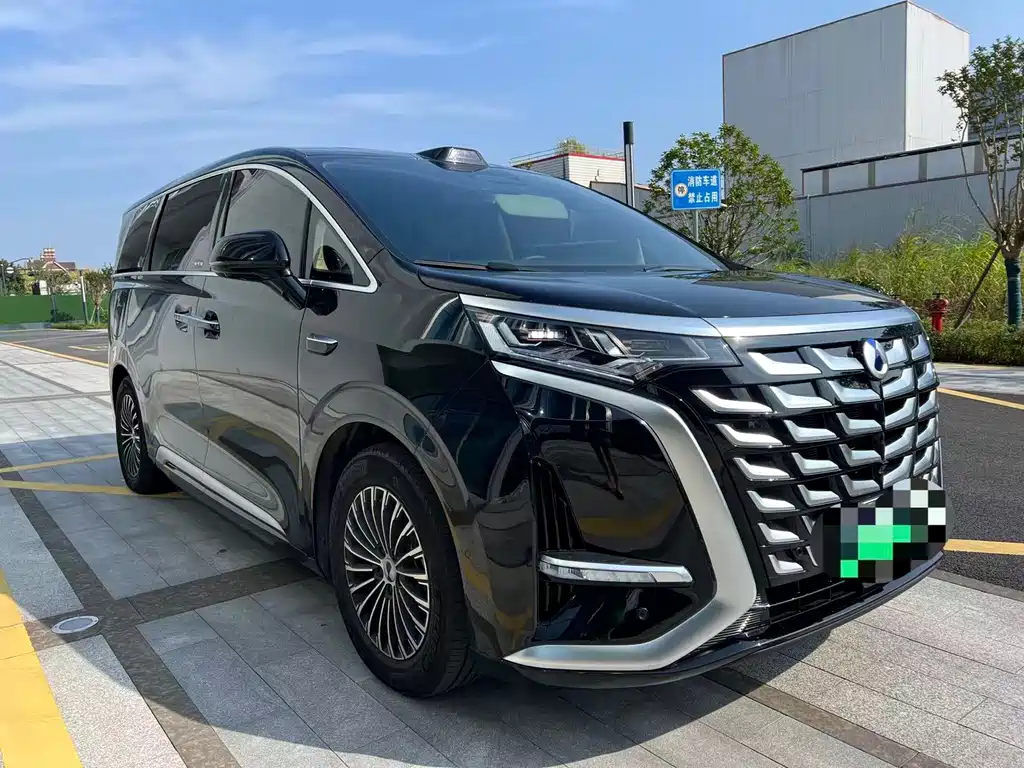 Denza Denza D9 — миниатюра 6
