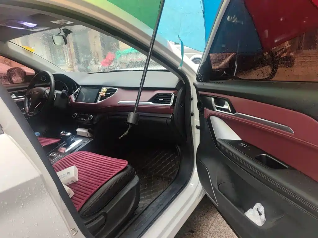 Haval H6 Coupe — миниатюра 19