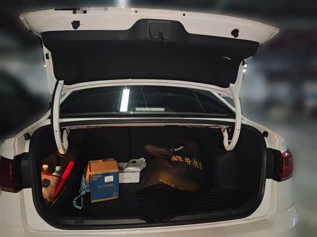 Volkswagen Bora — миниатюра 10