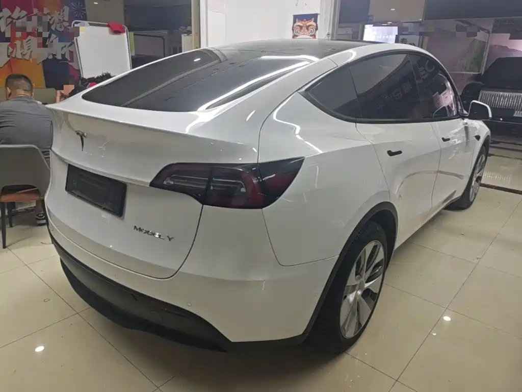 Tesla Model Y — миниатюра 7