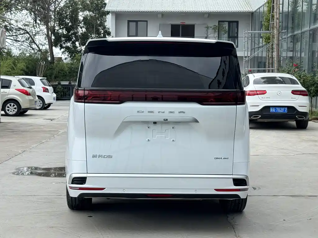 Denza Denza D9 — миниатюра 19