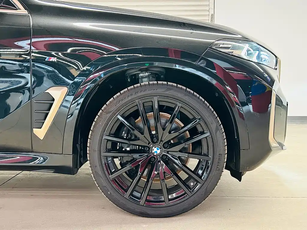 BMW X5 — миниатюра 8