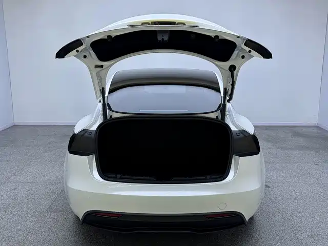 Tesla Model 3 — миниатюра 15