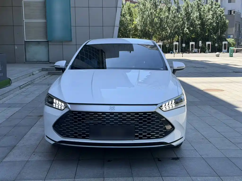 BYD Qin Plus PLUS 2023 Champion DM-i 55KM Lead