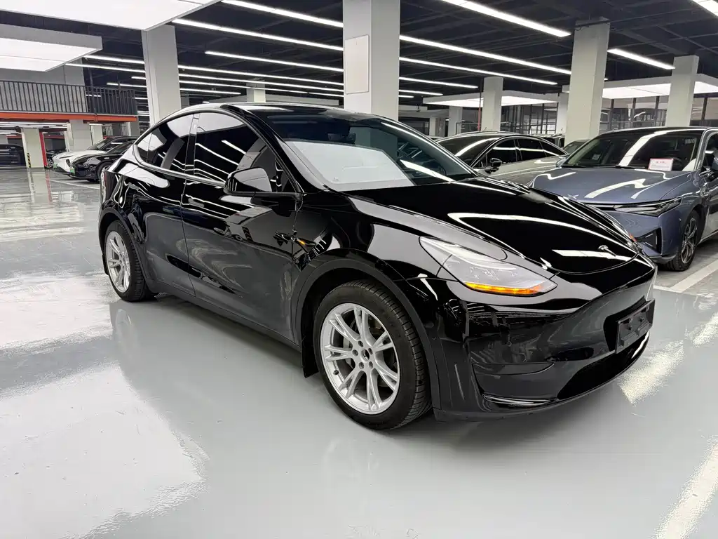 Tesla Model Y — миниатюра 3