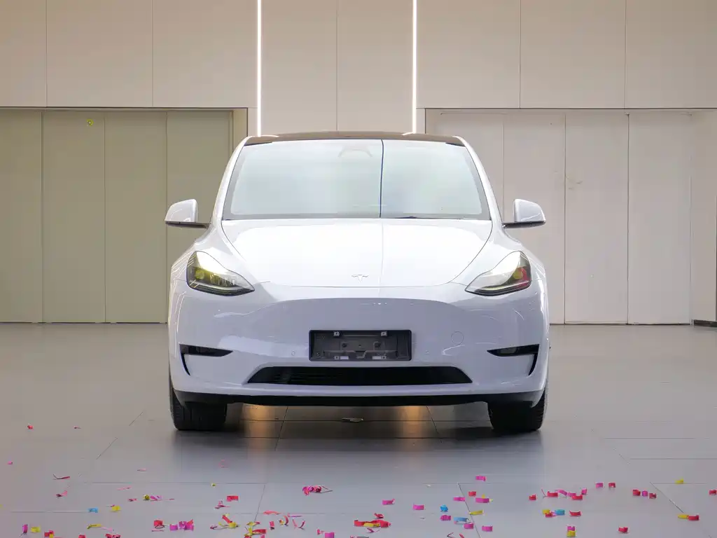 Tesla Model Y — миниатюра 2