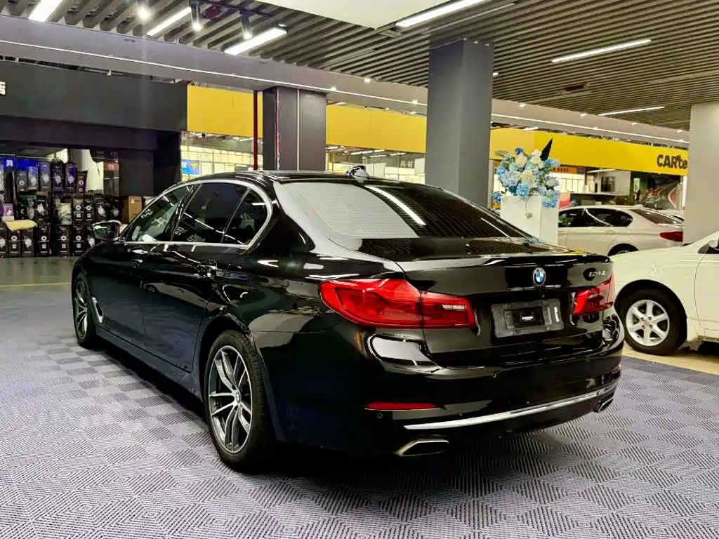 BMW 5 Series 5 2020 530Li Lead Luxury