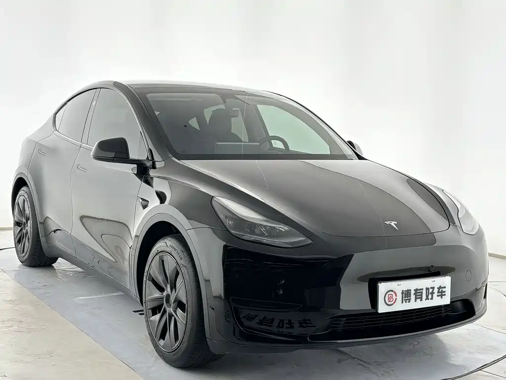 Tesla Model Y — миниатюра 3