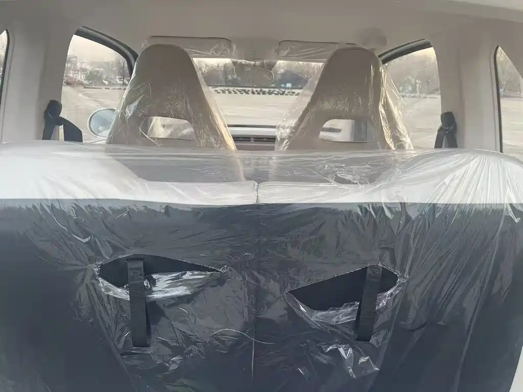 BESTUNE PENTIUM PONY